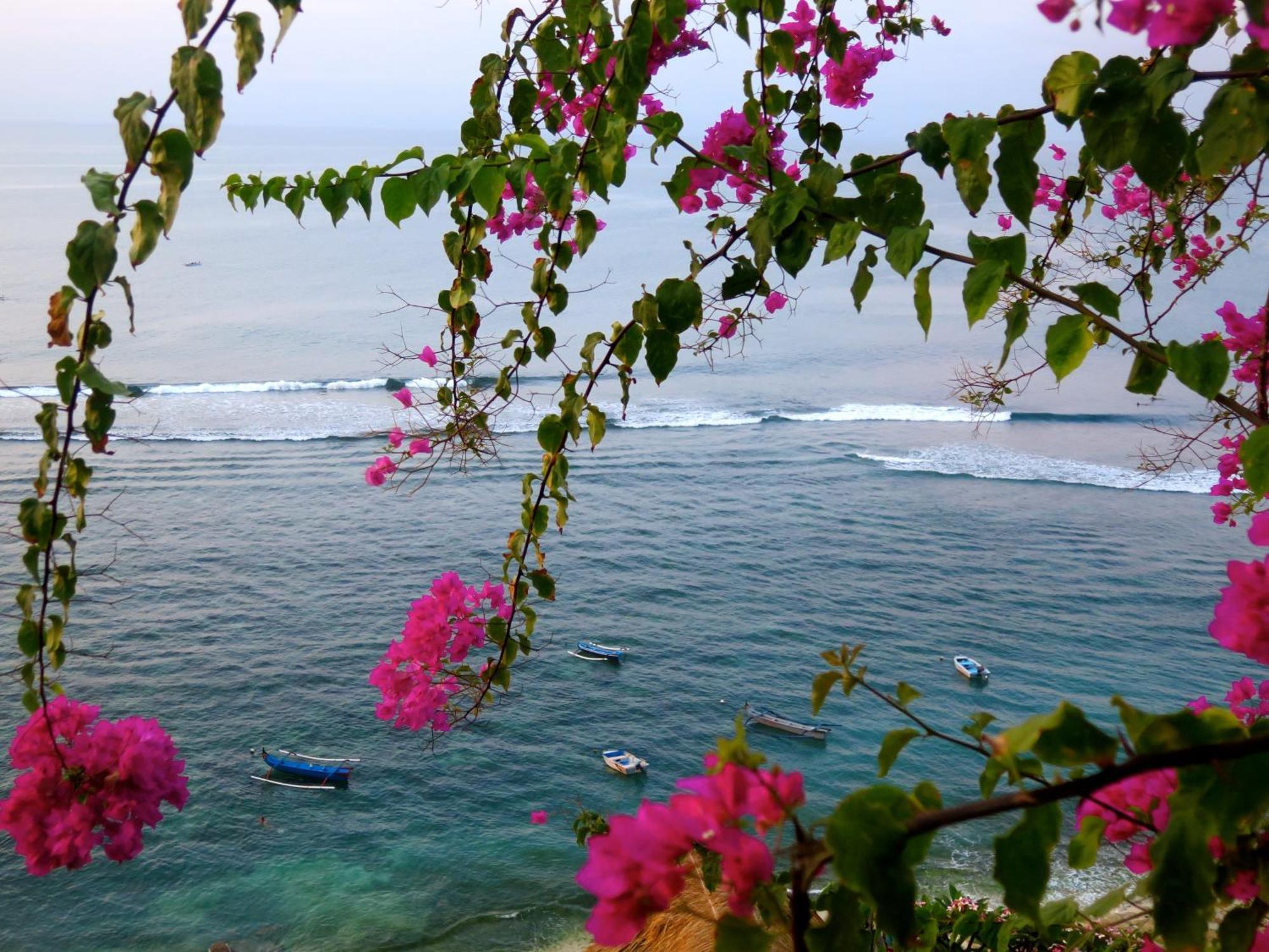 Acacia Bungalows Bingin Uluwatu Екстериор снимка